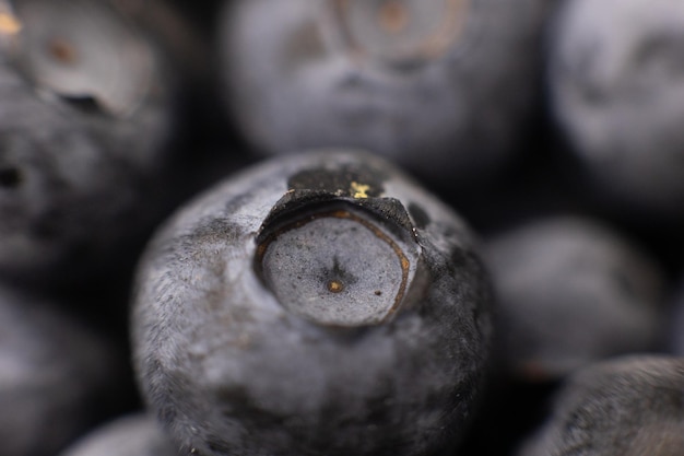 Blaubeerbeeren-Nahaufnahmehintergrund für das Kochen des Fruchtsommers