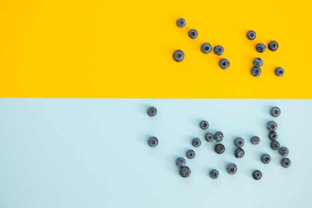 Blaubeere lokalisiert auf blauem gelbem Hintergrund