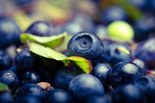 Blaubeeren auf einem Tisch