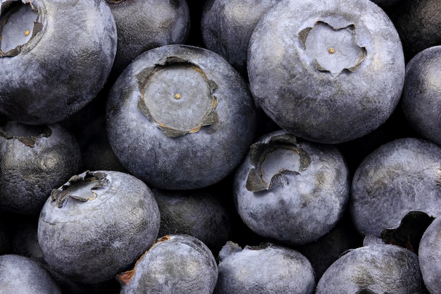 Blaubeeren in der Masse mit blauer Plakettennahaufnahme vieler Beeren. Volle Schärfentiefe, Makro.