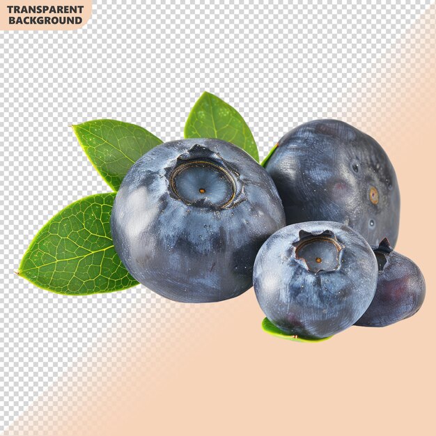 Foto blaubeeren mit blättern auf durchsichtigem hintergrund