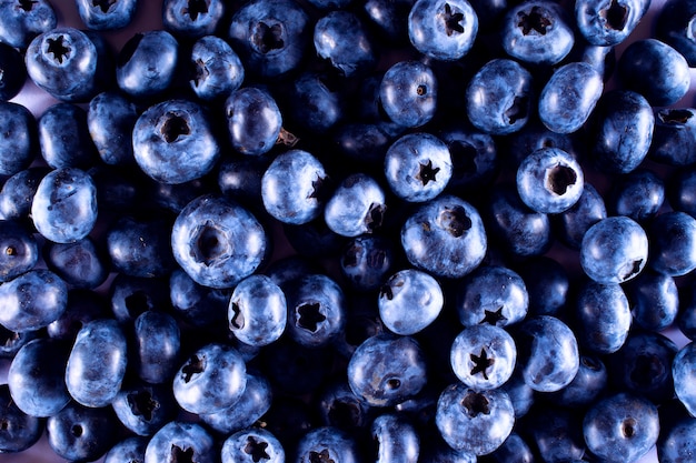 Blaubeeren von Blaubeeren. Früchte für eine gesunde Ernährung.