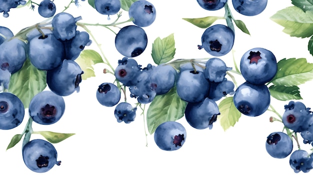 Blaubeeren