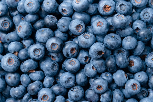 Blaubeerhintergrund. Reife Blaubeeren hautnah