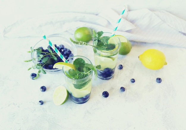 Blaubeerlimette und Minzblätter trinken Zutaten für Mojito auf hellem Hintergrund