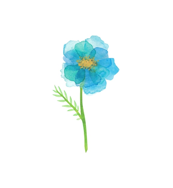 Blaue Aquarellblume