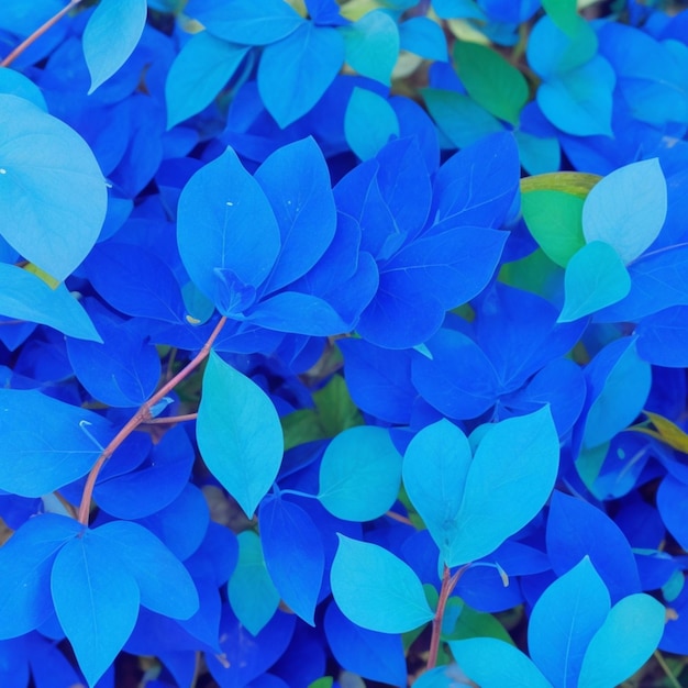 Blaue Blätter Hintergrund