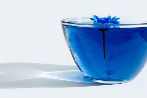 Blaue Blume im Glas mit Wasser