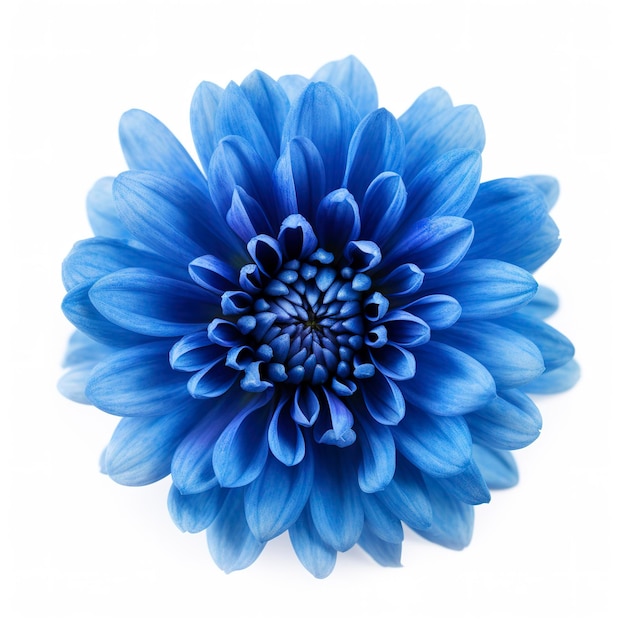 Blaue Blume isoliert auf weißem Hintergrund erzeugen KI