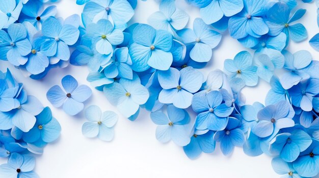 Foto blaue blumen auf weißem hintergrund, generative ki