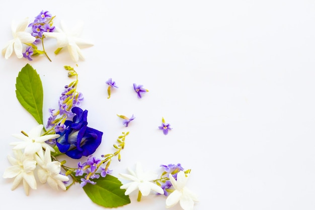 blaue blumen schmetterlingserbse lokale flora asiens anordnung flach legen stil