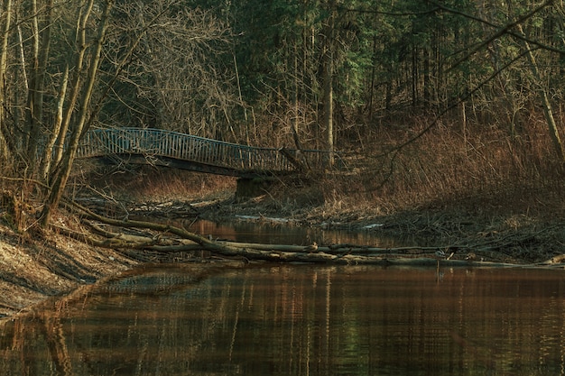 Blaue Brücke über den Fluss im Wald