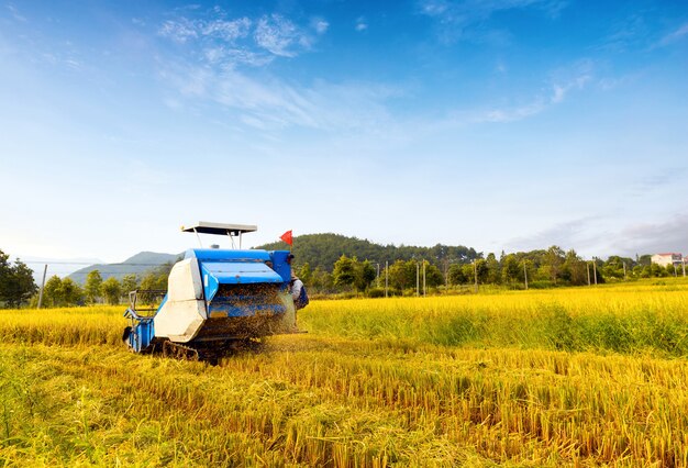 Blaue Erntemaschine arbeiten