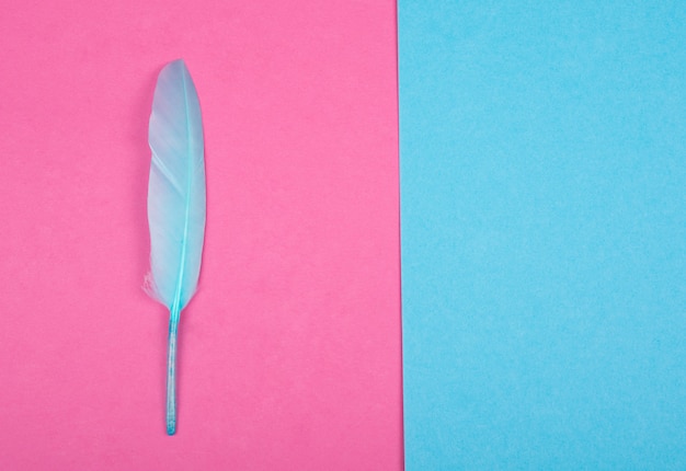 Blaue Feder als Federkiel auf einem aufgeteilten rosa und blauen Hintergrund