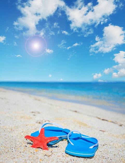 Blaue Flip-Flops und rote Seesterne am Meer unter strahlender Sonne