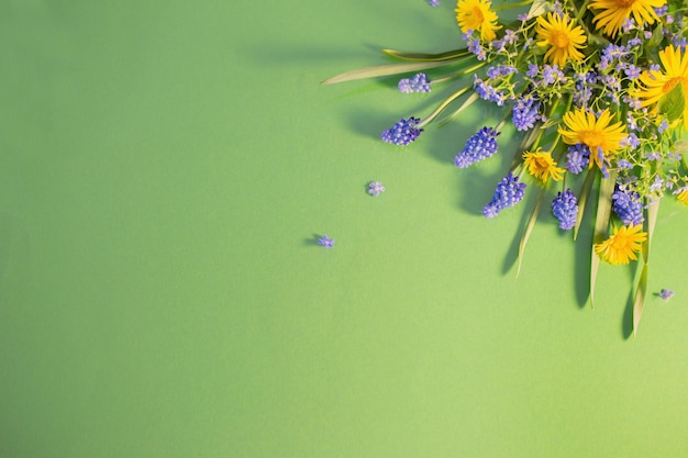 Blaue Frühlingsblumen auf grünem Hintergrund