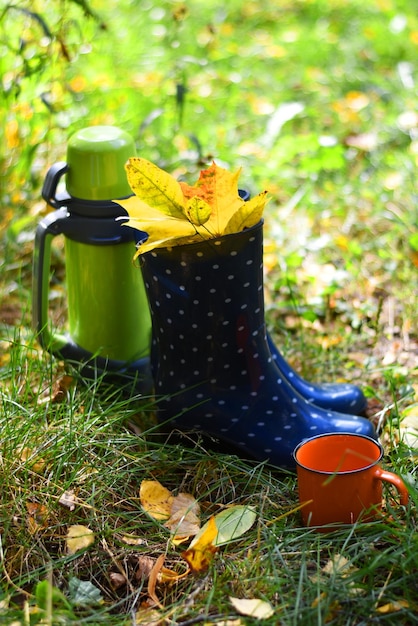 Blaue Gummistiefel stehen auf dem grünen Gras