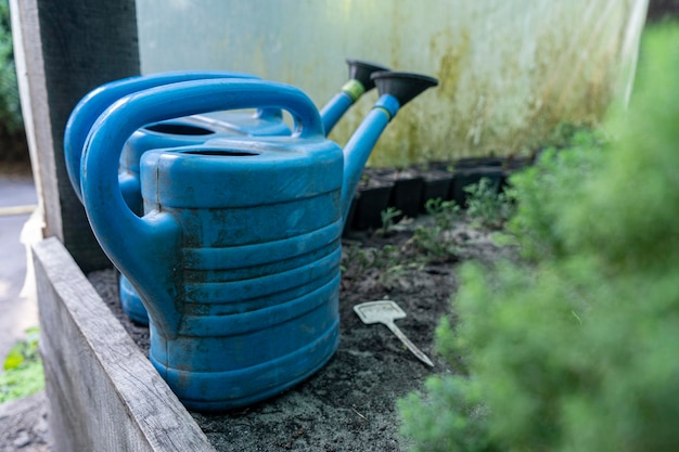 Foto blaue handgießkannen für blumen im gewächshaus