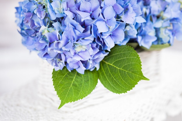 Blaue hortensie blüht im weißen korb. blumendeko für zu hause