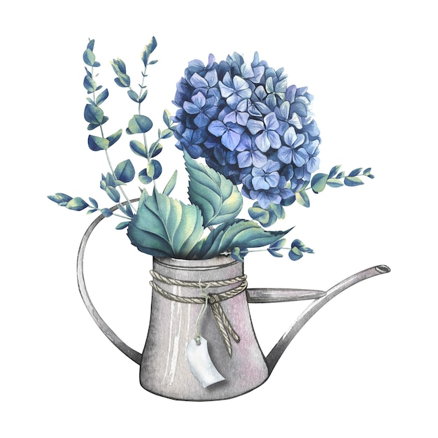 Blaue Hortensienblüte mit Eukalyptuszweigen in einer Metallgießkanne mit Etikett Aquarellillustration Komposition aus der Kollektion HOCHZEITSBLUMEN Zur Dekoration und Gestaltung