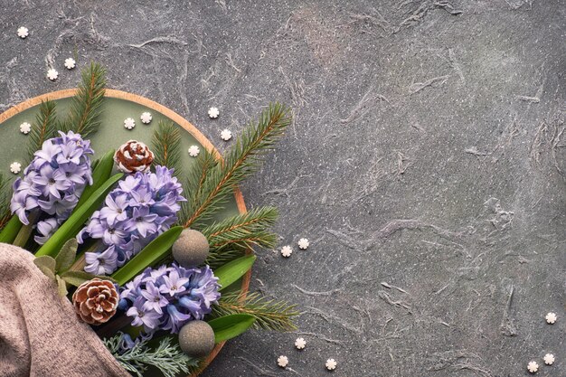 Blaue Hyazinthenblumen mit Tannenzweigen mit Schal und winzigen Schneeflocken