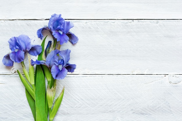 Blaue Irisblumen über weißem hölzernem Hintergrund