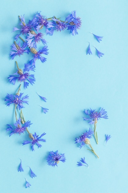 Blaue Kornblumen auf blauem Papierhintergrund