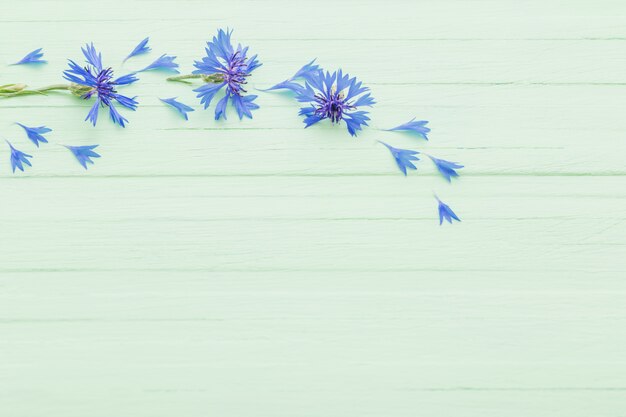 Blaue Kornblumen auf Holz