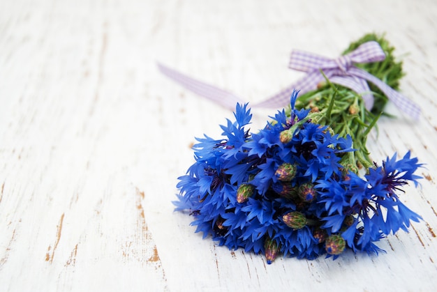 Blaue Kornblumen