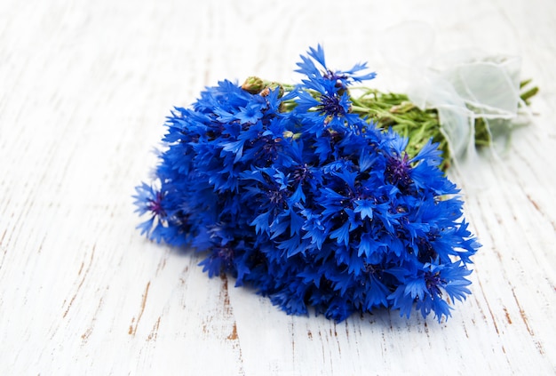 Blaue Kornblumen