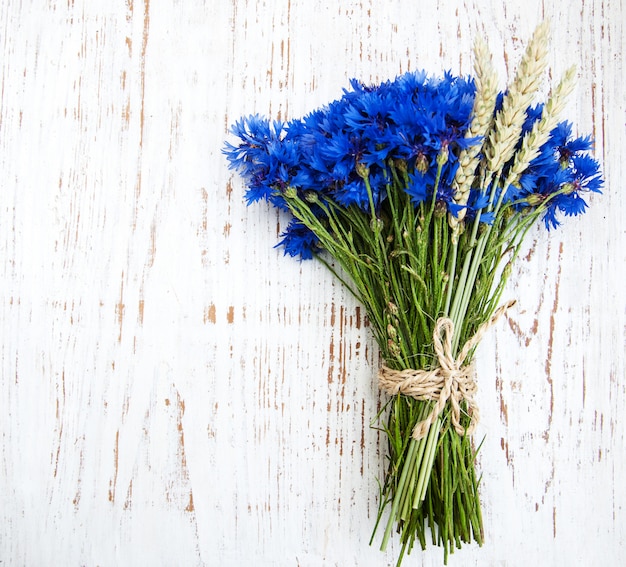 Blaue Kornblumen