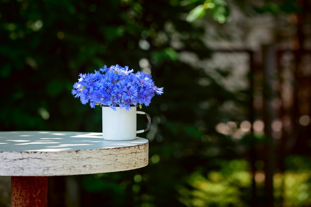 Blaue Maisblumen des schönen schönen Straußes des Sommers im weißen Topf auf Natur
