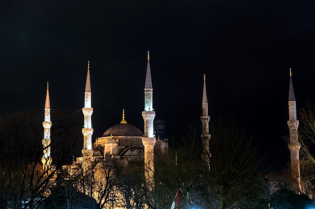 Blaue Moschee in der Nacht Istanbul Türkei