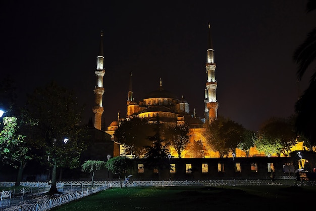 Blaue Moschee in Istanbul der Türkei