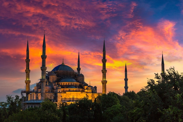 Blaue Moschee in Istanbul, Türkei