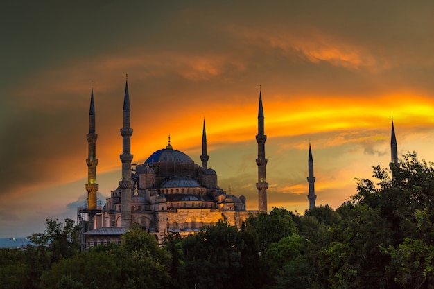 Blaue Moschee in Istanbul