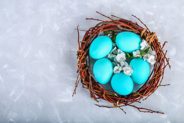 Blaue Ostereier in einem Nest mit weißen Blumen auf einem grauen konkreten Hintergrund.