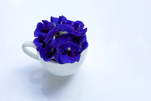 Blaue Schmetterlingserbsenblume in der weißen Tasse auf weißem Hintergrund.