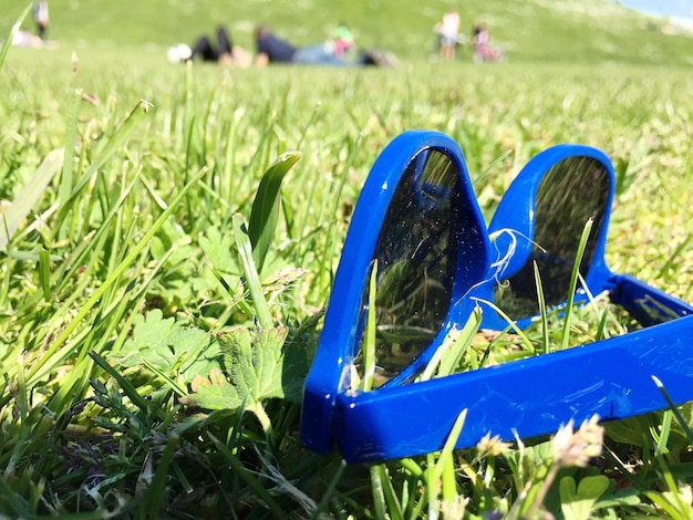 Blaue Sonnenbrille auf dem Gras im Park an einem sonnigen Tag