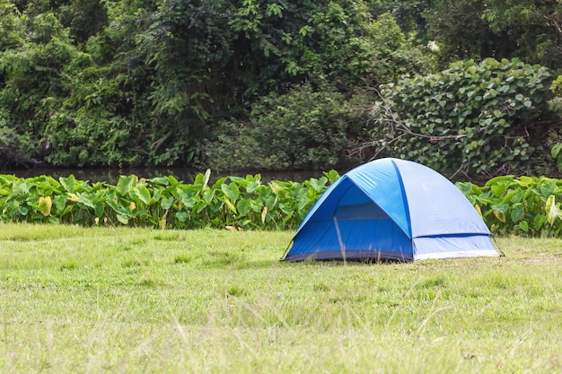 Blaue touristische Zelte im Wald