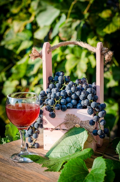 Blaue Trauben und Traubensaft in einem Glas