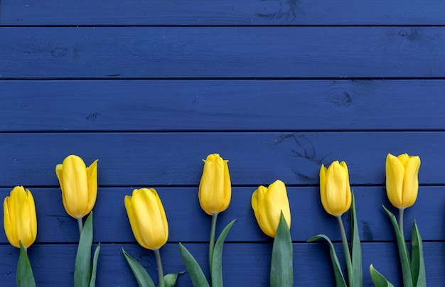 Blaue Tulpenblumen auf hölzernem Hintergrund