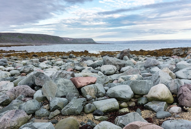 Blaue und rosa Steine an der Küste der Barentssee, Finnmark, Norwegen