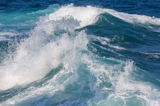 Blaue Welle am Strand.