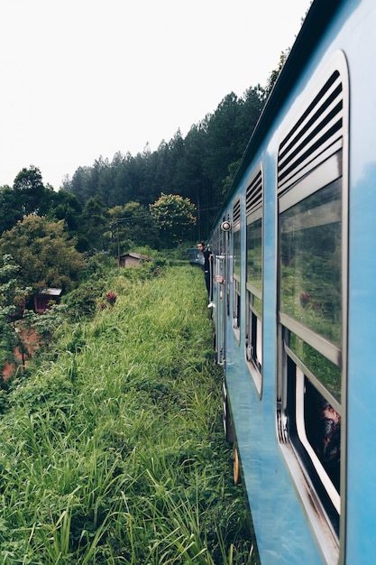 Blaue Zugüberfahrt-Teeplantage in Asien