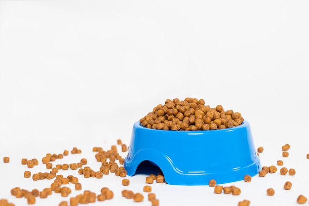 Blauer Futterteller für Tierfutter auf weißem Hintergrund