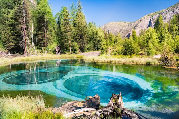 Blauer Geysirsee im Altai-Gebirge, Republik Altai, Sibirien, Russland