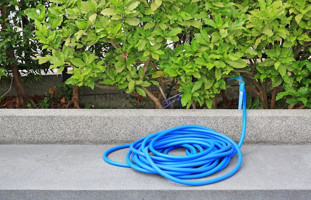 Foto blauer gummischlauch für die bewässerung von pflanzen im garten.