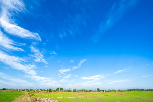 Blauer Himmel mit weißen Wolken.