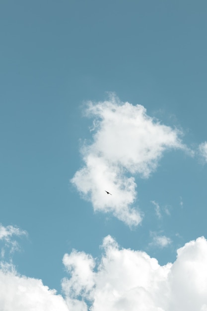 Blauer Himmel mit weißer Wolke unter Vogelfliegen